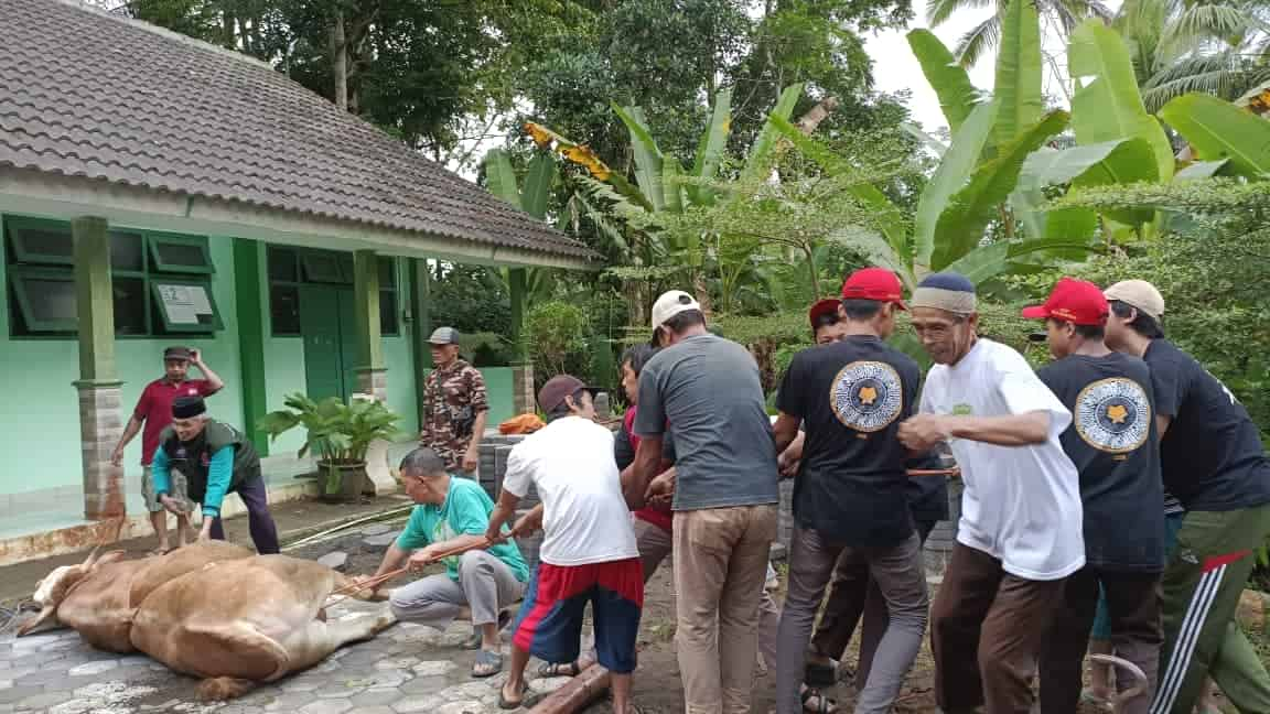 Iduladha MTsN 4 Kulon Progo Dan SDN 1 Jonggrangan Tanamkan Semangat